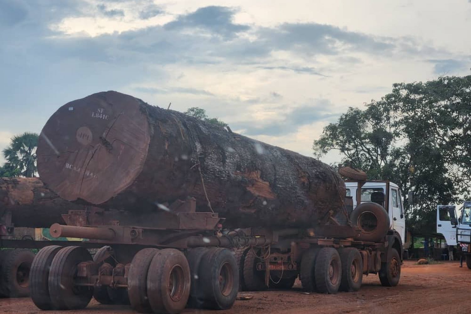 GIANT MUKULUNGU