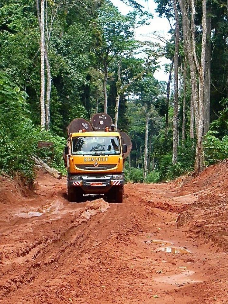 SAPELLY TRUCK