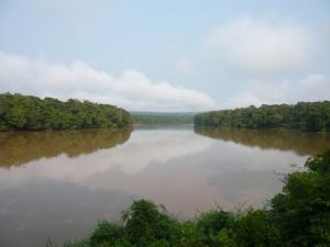 SANGHA RIVER